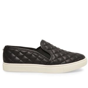Steve Madden Ecentrcq shoes